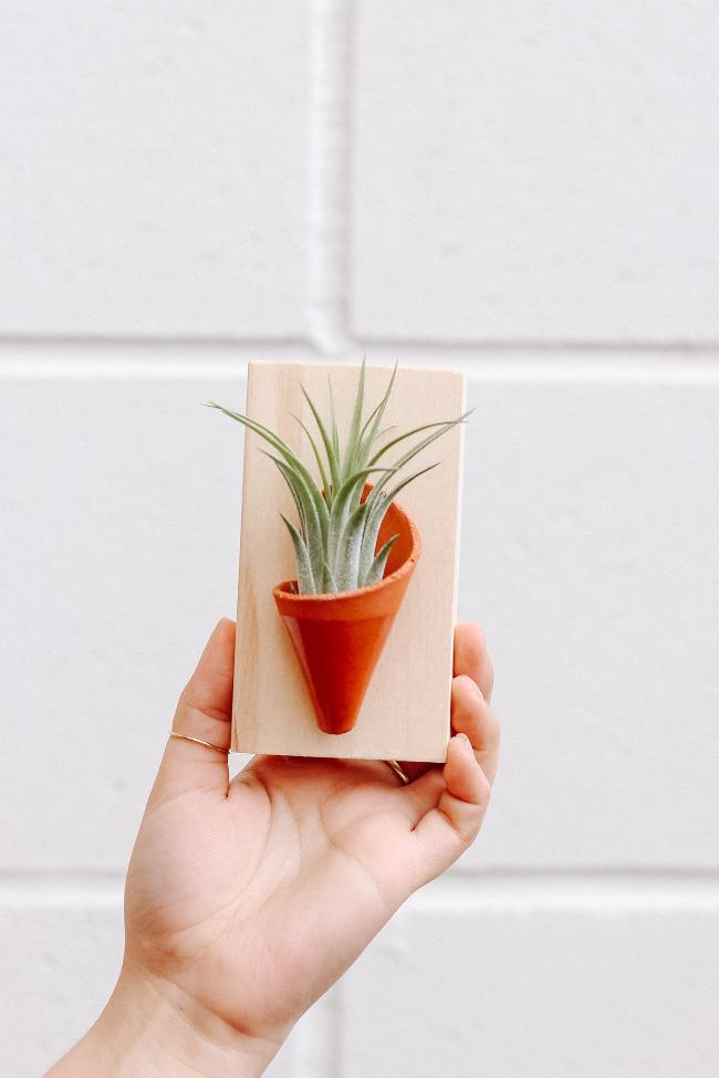 Carter + Rose Ceramic Wall Planter, Tiny Carter + Rose | Heirloom Boulevard