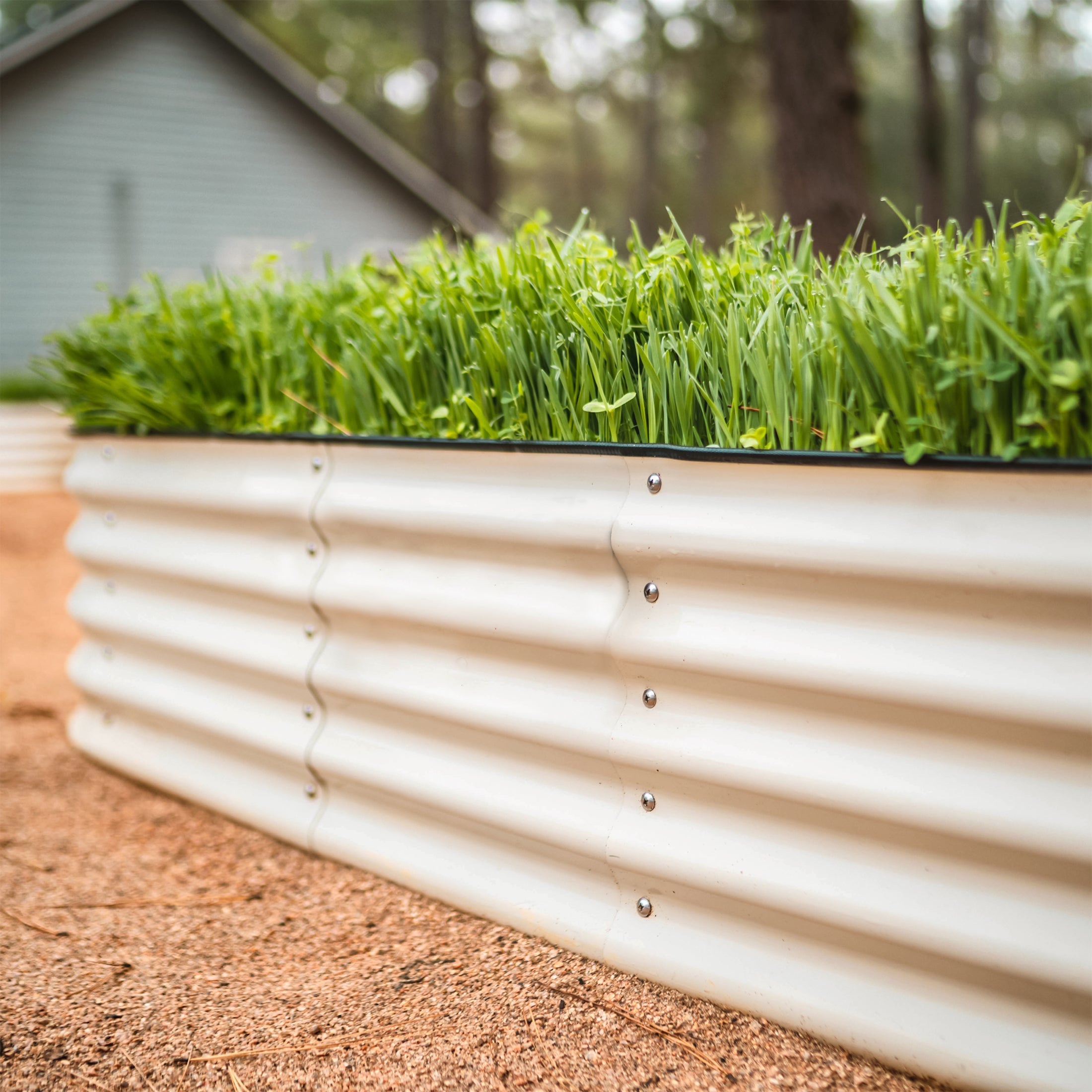 Vego Garden 17" Tall 4 In 1 Small Modular Metal Raised Garden Bed Kit | Heirloom Boulevard