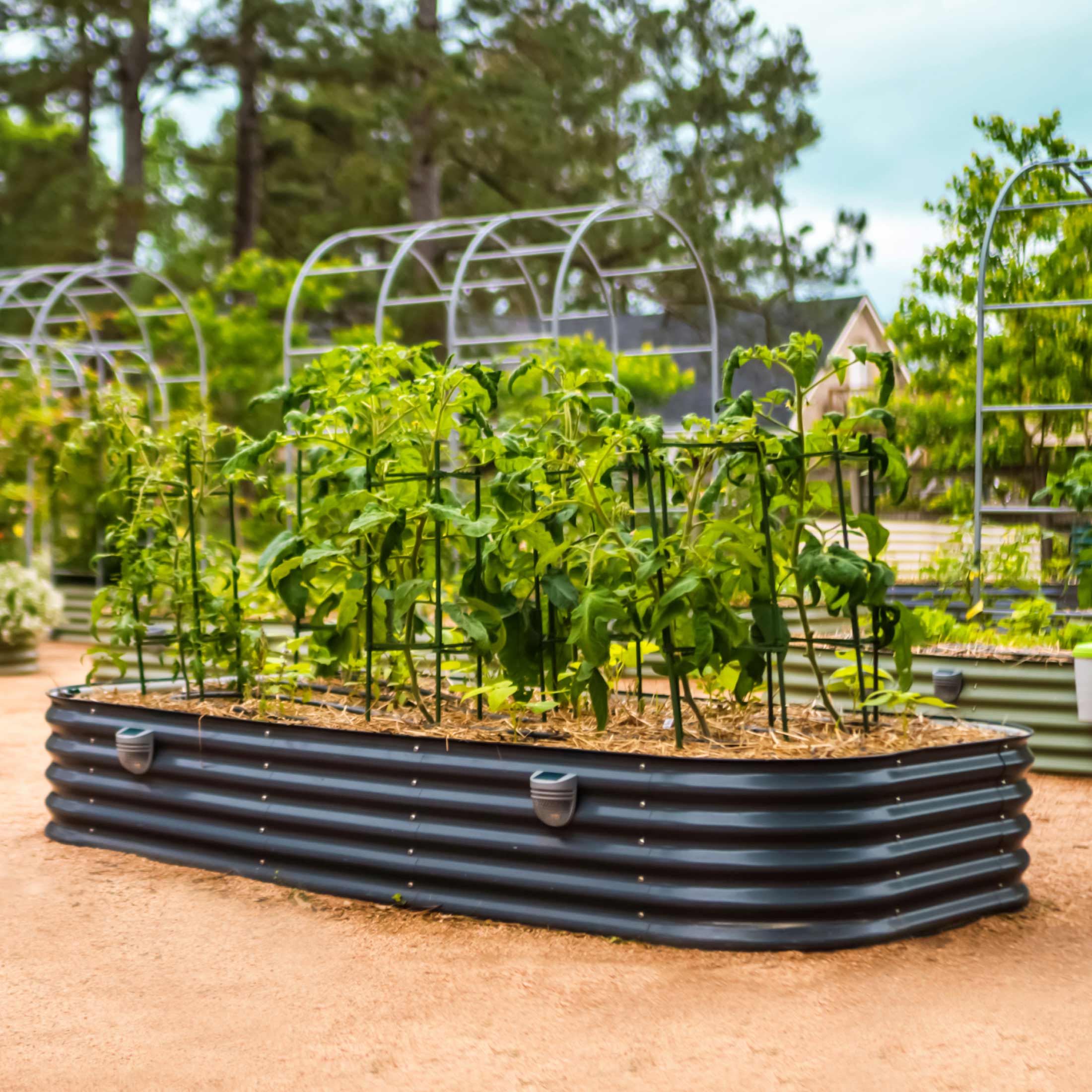 Vego Garden 17" Tall 10 In 1 Jumbo Modular Metal Raised Garden Bed Kit | Heirloom Boulevard