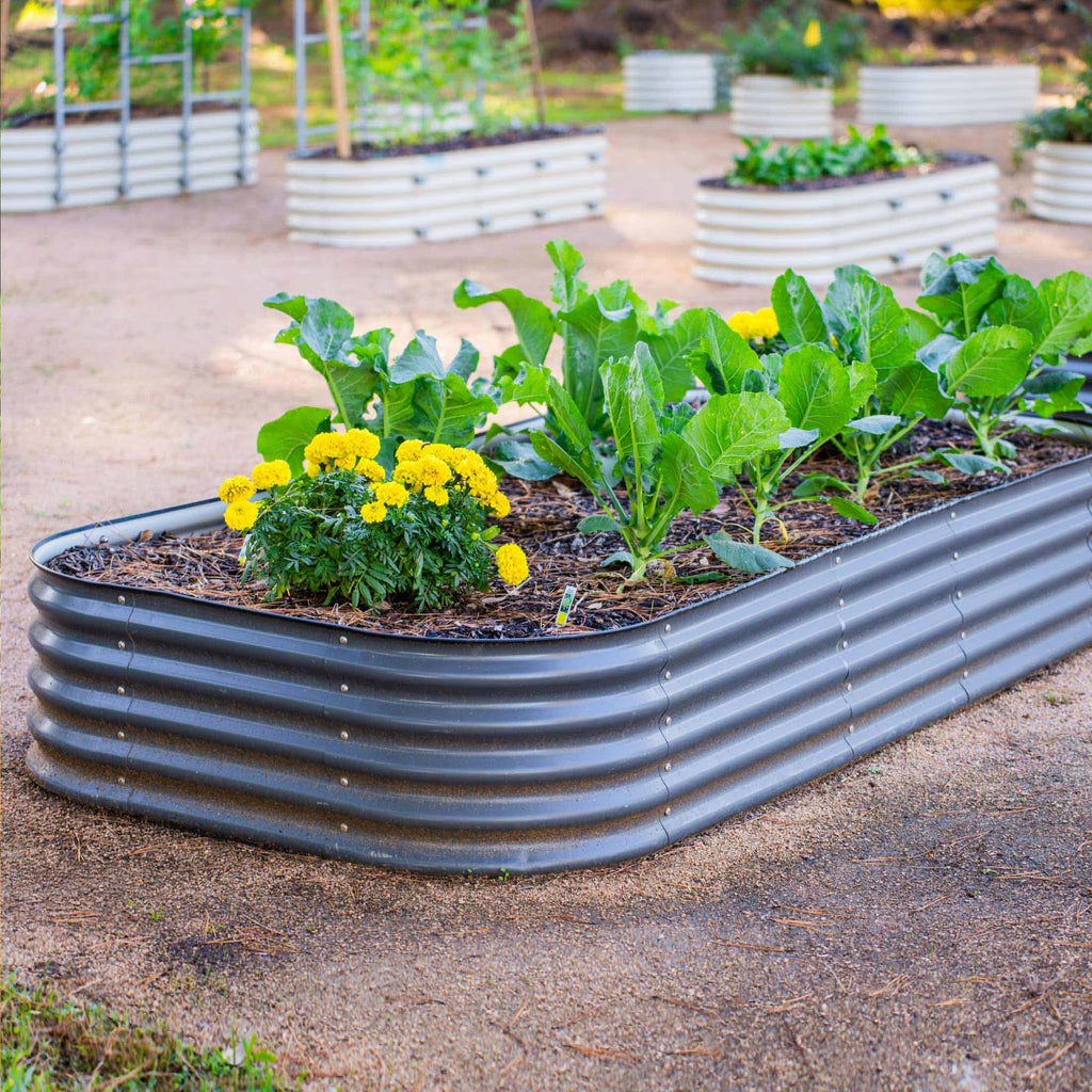 Vego Garden 17" Tall 10 In 1 Jumbo Modular Metal Raised Garden Bed Kit | Heirloom Boulevard