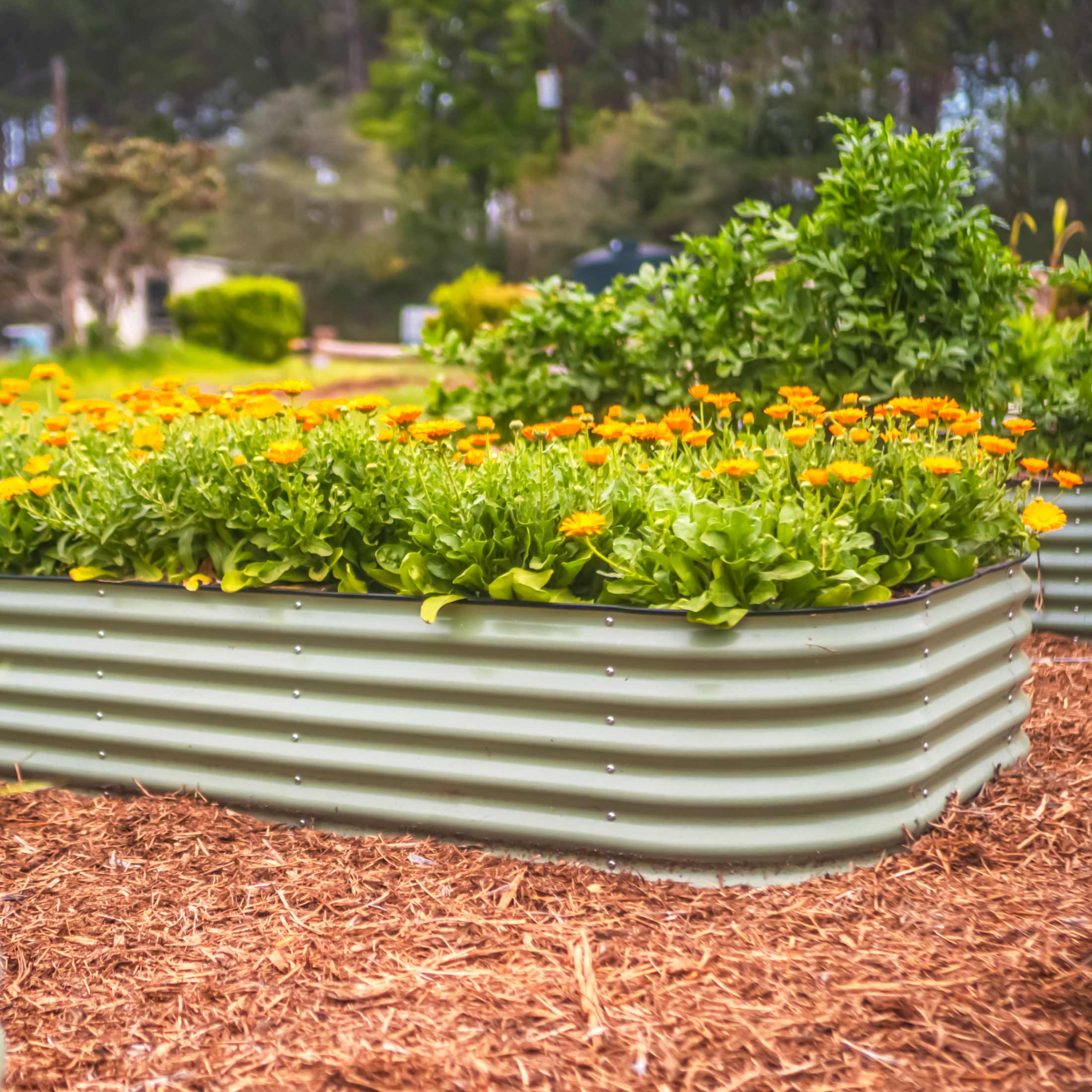 Vego Garden 17" Tall 10 In 1 Jumbo Modular Metal Raised Garden Bed Kit | Heirloom Boulevard