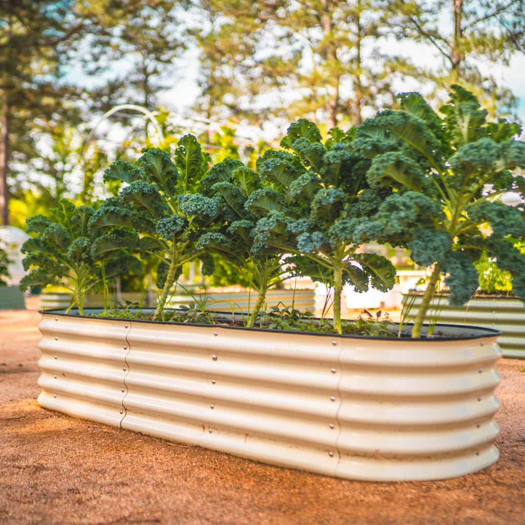 Vego Garden 17" Tall 6 In 1 Medium Modular Metal Raised Garden Bed Kit | Heirloom Boulevard