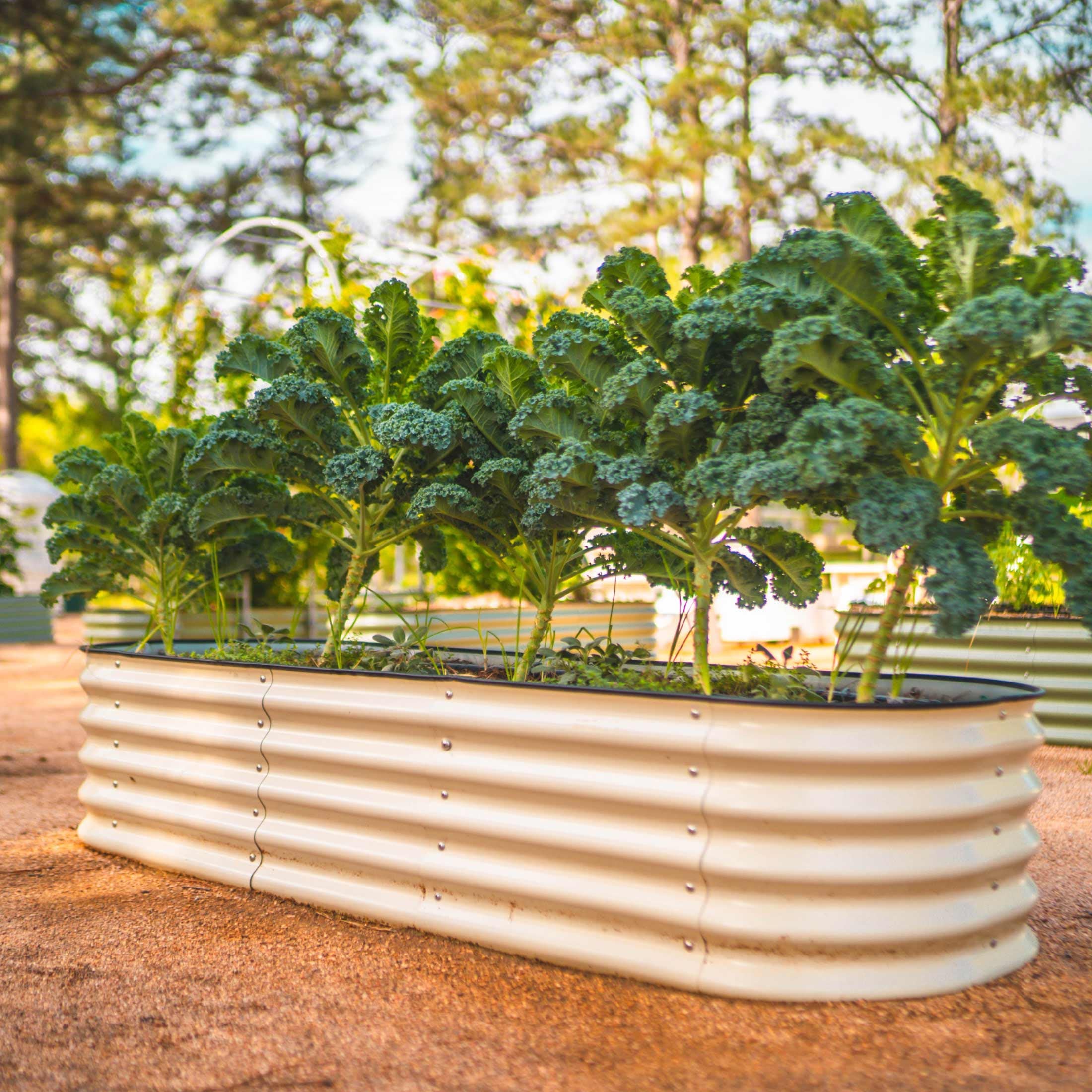 Vego Garden 17" Tall 6 In 1 Medium Modular Metal Raised Garden Bed Kit | Heirloom Boulevard